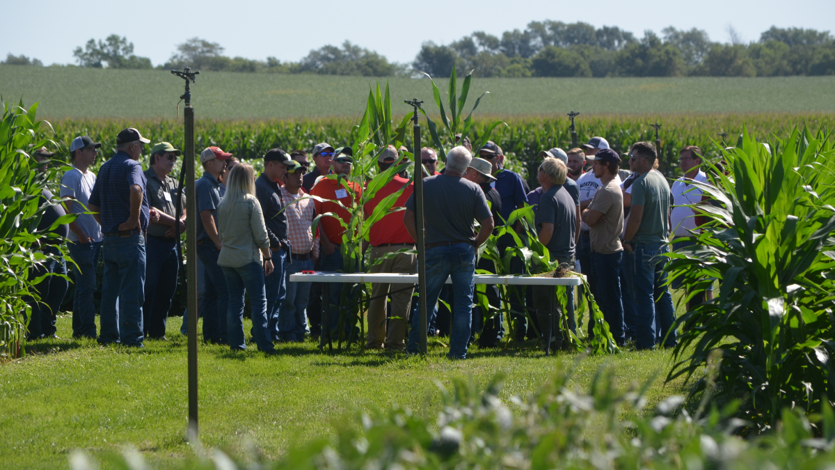 Nebraska Extension provides in-field training in August on corn and soybean production 