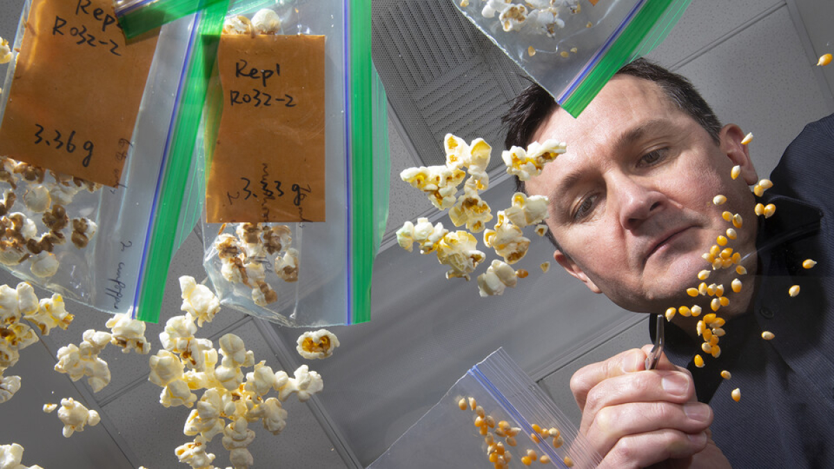 50/50 shot breeds a decade of popcorn success