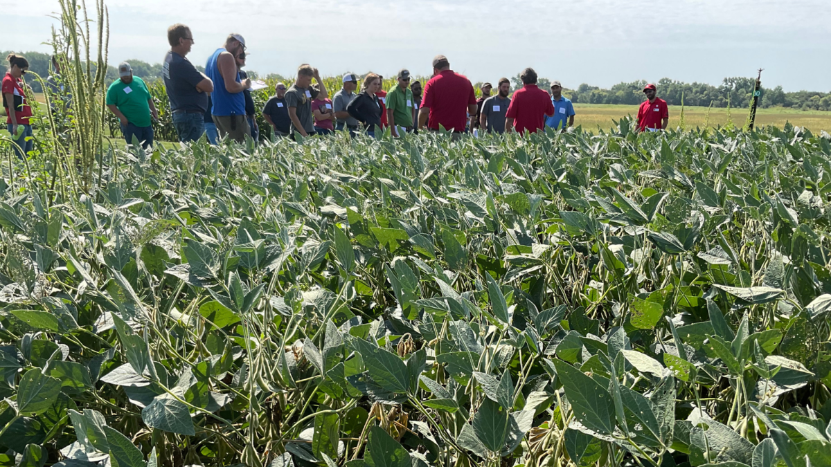 Nebraska Extension Provides Nebraska Corn and Soybean Clinics Aug. 29 at North Platte and Aug. 31 at Mead