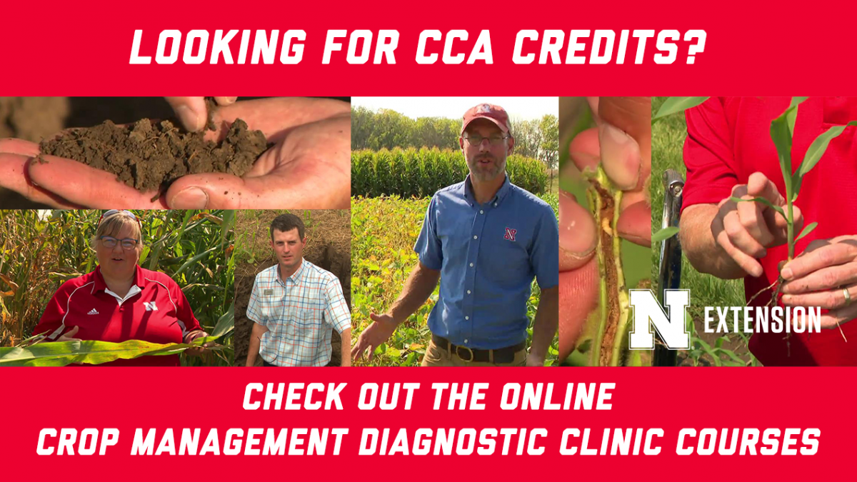 Nebraska Extension crop management diagnostic clinic courses available online 