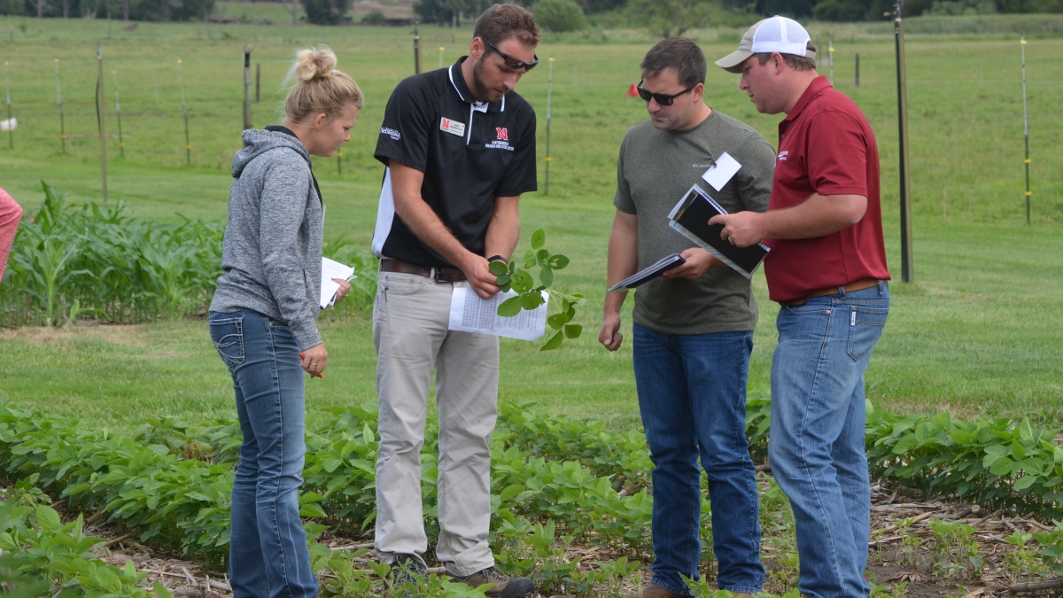 Nebraska Extension Provides In-Field Training in August on Corn and Soybean Production 