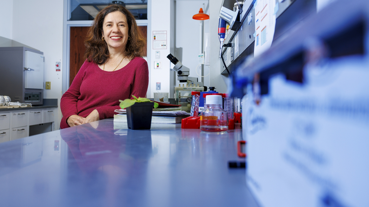 Rojas expands plant pathology research, outreach at Nebraska
